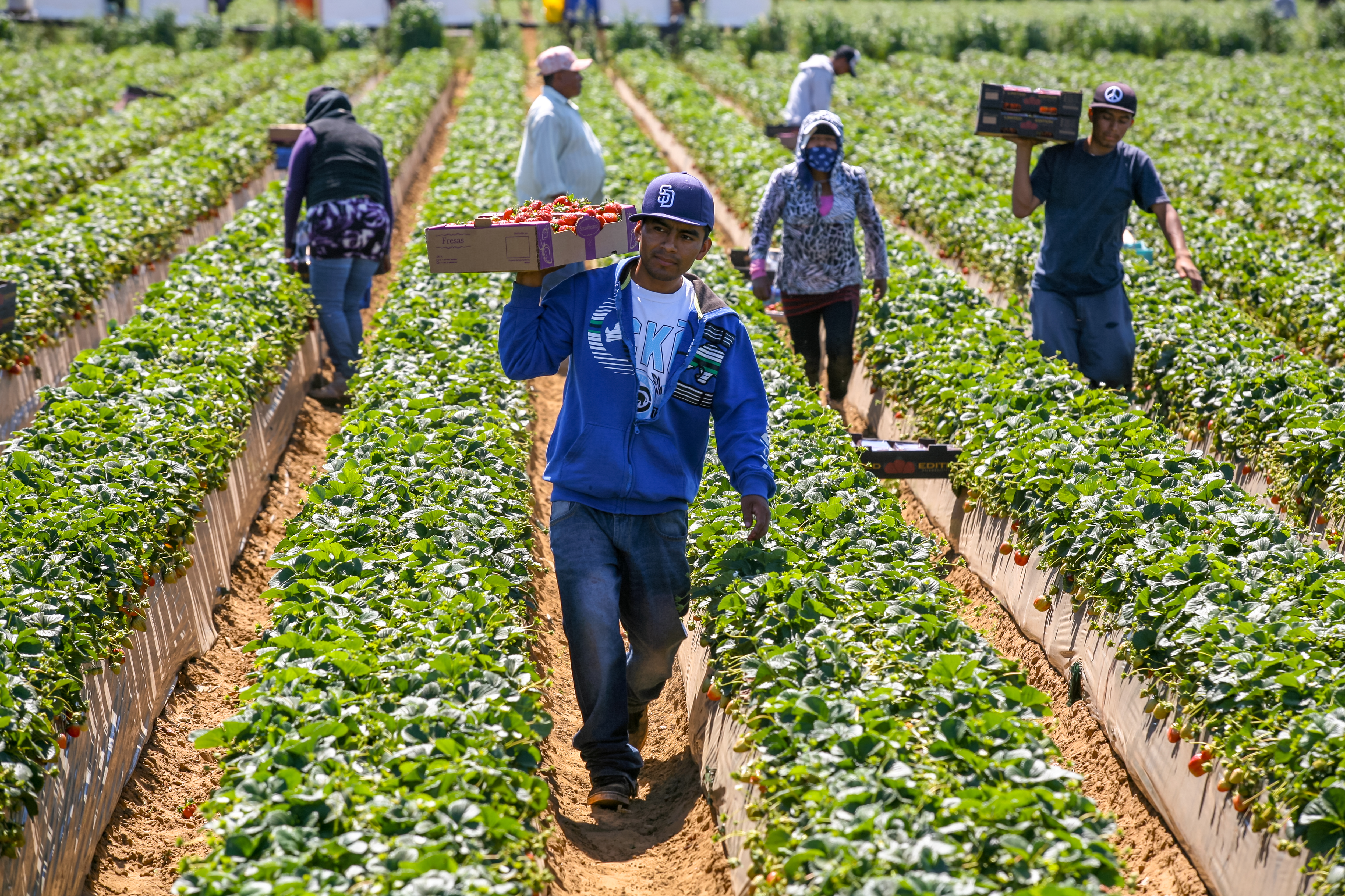 Let's stand together to stamp out worker exploitation